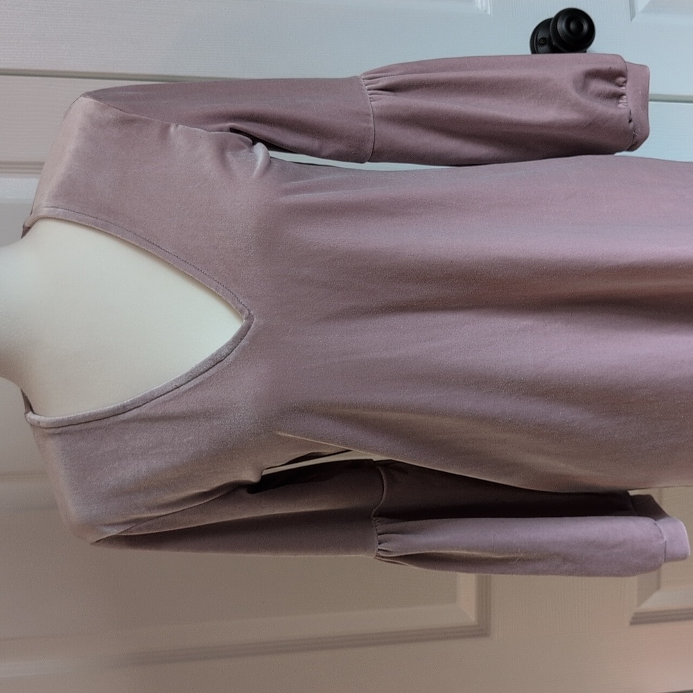 Madewell Mauve V-Neck Long Sleeve Velour Dress - Picture 2 of 9